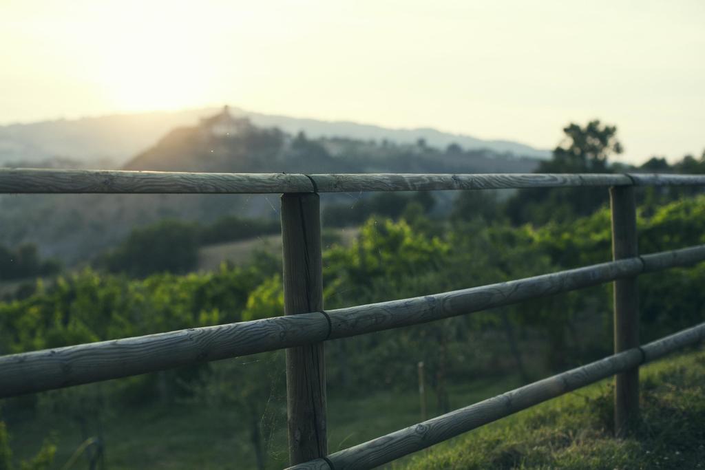 B&B Ca Biocco Sogliano al Rubicone ภายนอก รูปภาพ